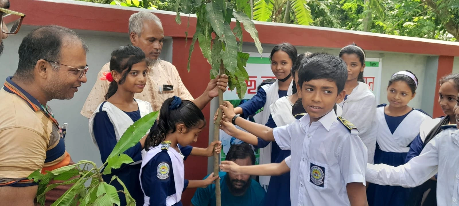 plantation