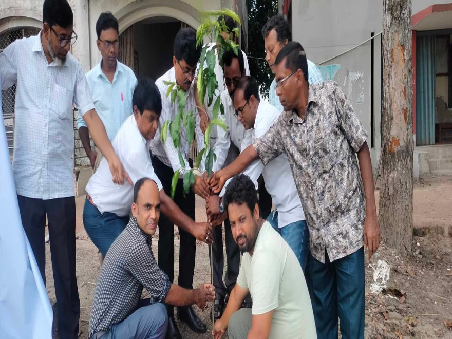 plantation
